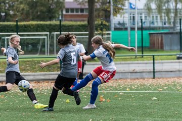 Bild 212 - wCJ Hamburger SV - Harburger TB : Ergebnis: 9:1